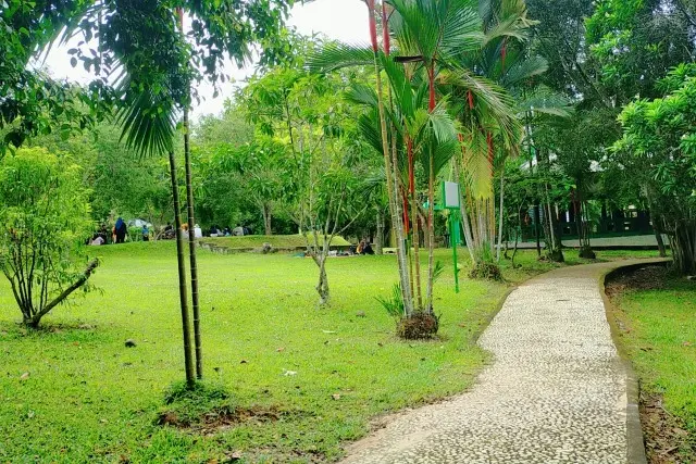 Aktivitas Seru Hutan Kota Muhammad Sabki