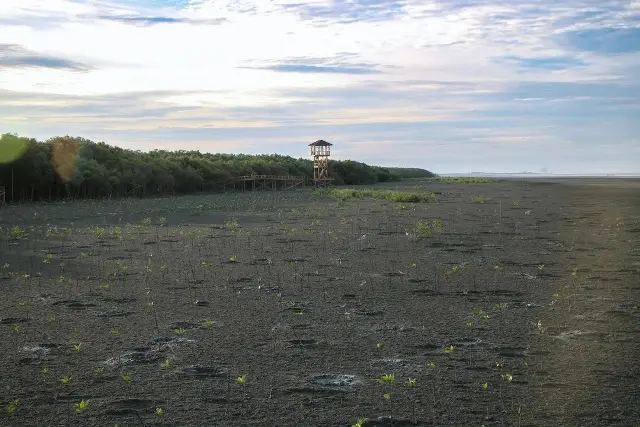 Alamat Pantai Sejarah Batubara