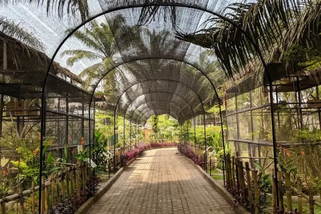 Alamat Rahmat Zoo and Park