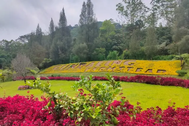 Daya Tarik Gundaling Farmstead Karo