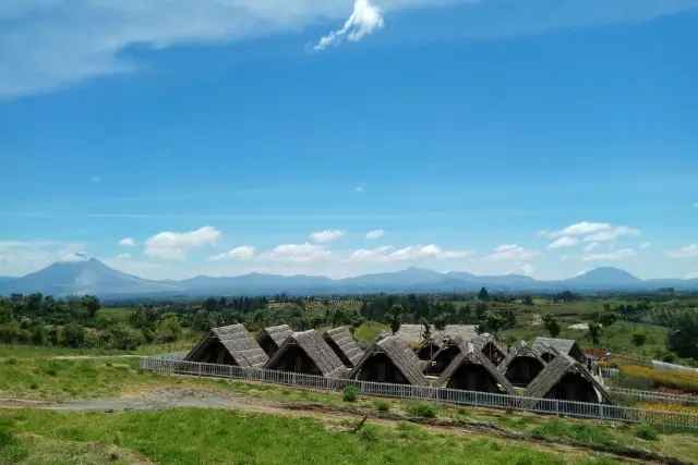 Daya Tarik Kebun Madu Efi