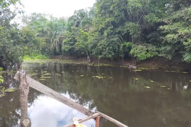 Daya Tarik Lubuk Penyengat
