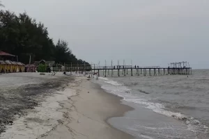 Daya Tarik Pantai Cemara Kembar