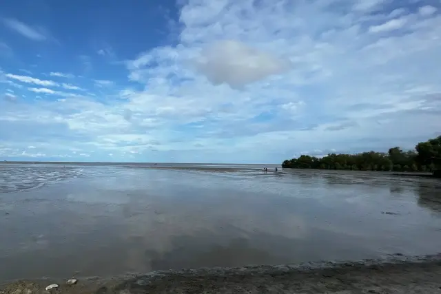 Daya Tarik Pantai Sejarah Batubara