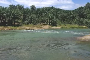 Daya Tarik Pemandian Batu Nongol