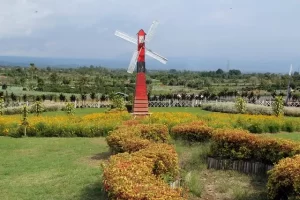 Daya Tarik Taman Seribu Bunga