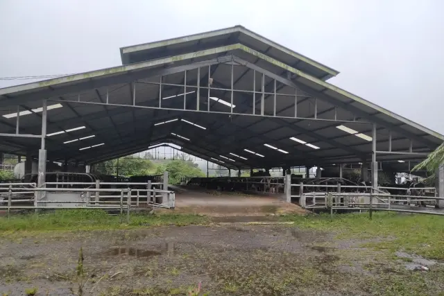 Fasilitas Gundaling Farmstead Karo