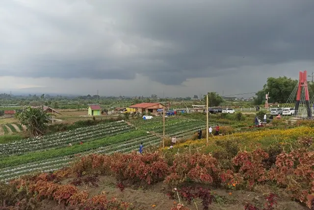 Kegiatan Seru Taman Seribu Bunga
