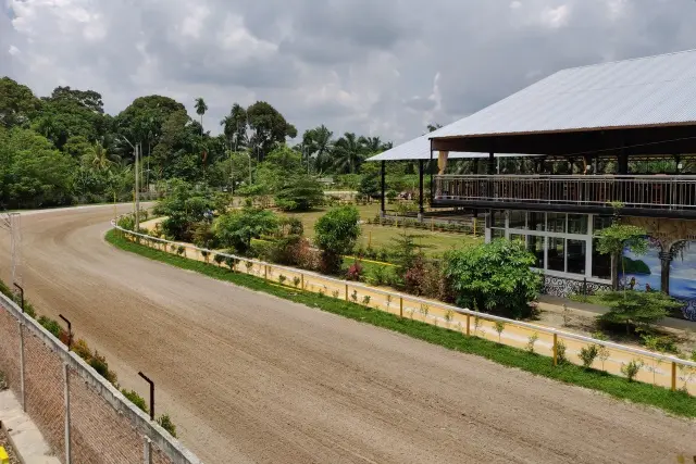 Aktivitas Menarik Jericho Stable