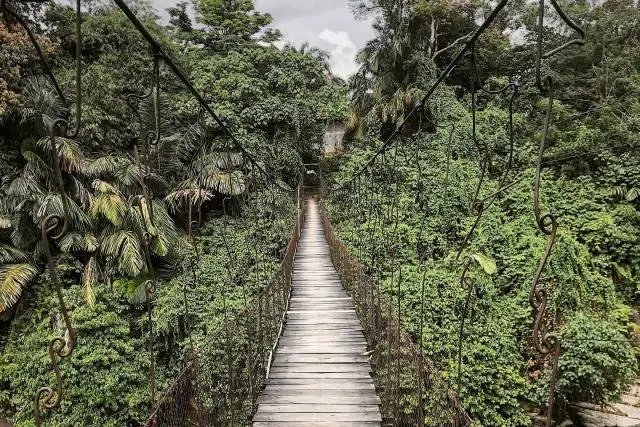 Alamat Hutan Ekowisata Tangkahan