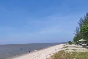 Alamat Pantai Sialang Buah