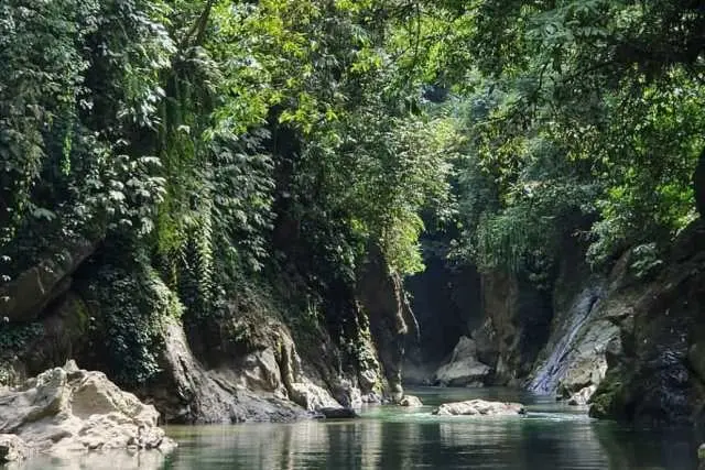Fasilitas Ekowisata Tangkahan