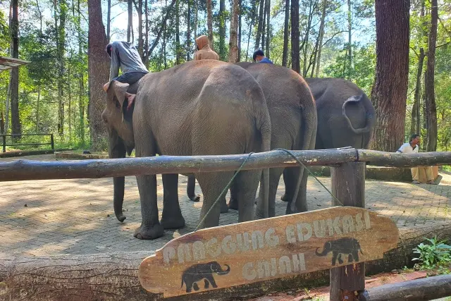 Aktivitas Menarik Aek Nauli