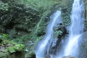 Alamat Sampuren Edelweiss