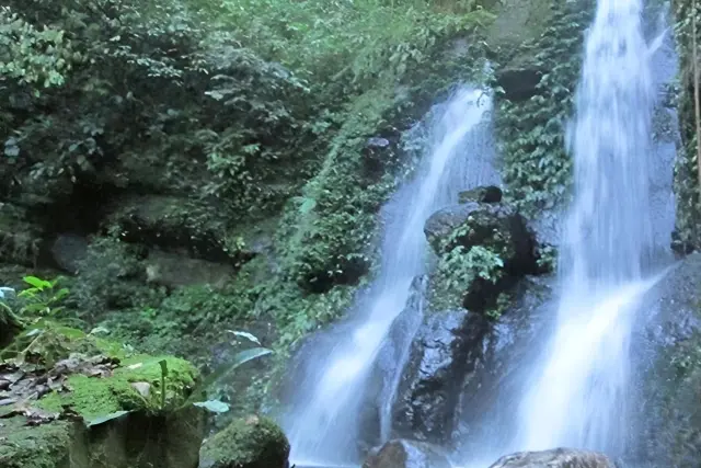 Alamat Sampuren Edelweiss