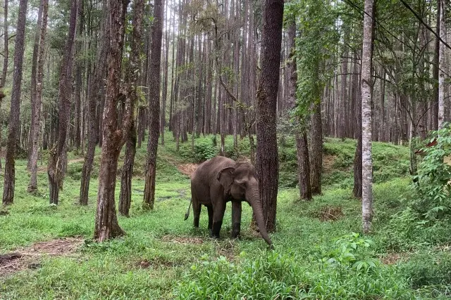 Alamat Wisata Aek Nauli