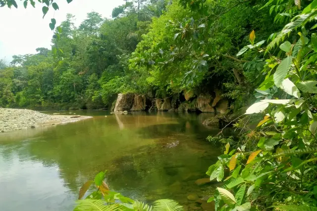 Daya Tarik Batu Rongring