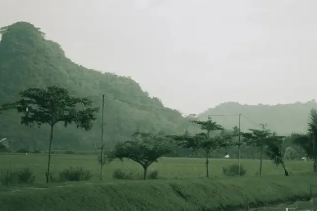 Daya Tarik Bukit Botak