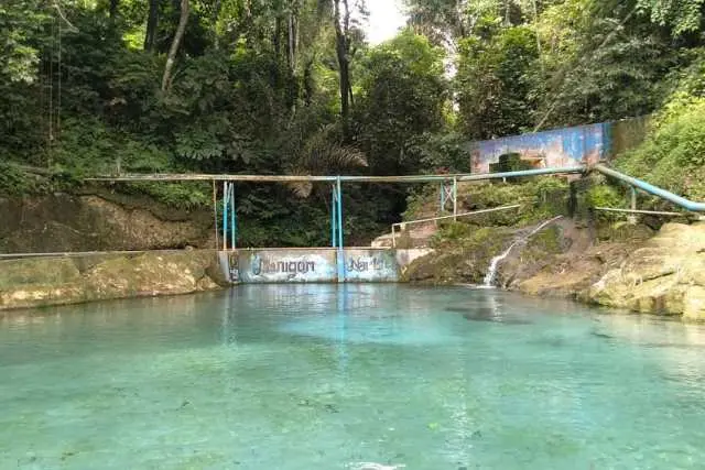 Daya Tarik Manigom Nauli