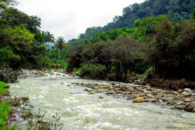 Daya Tarik Negeri Suah
