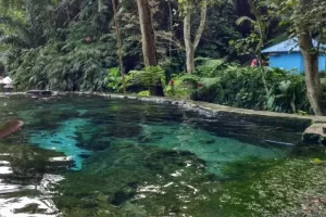 Daya Tarik Pemandian Simatahuting