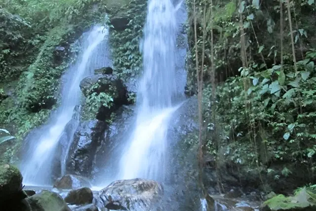 Daya Tarik Sampuren Edelweiss