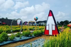 Daya Tarik Taman Bunga Celosia Metro