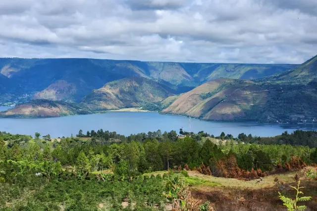 Fasilitas Pusuk Buhit