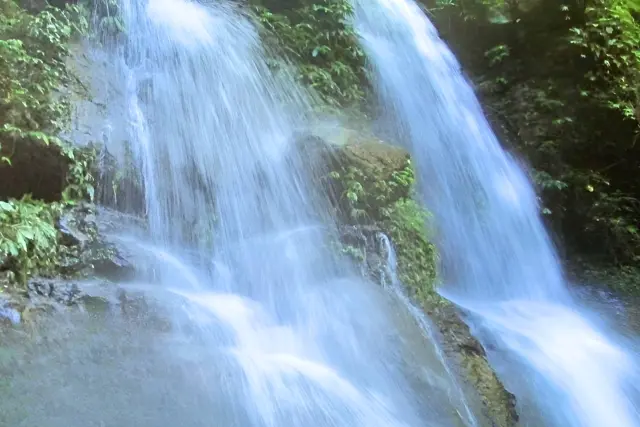 Fasilitas Sampuren Edelweiss