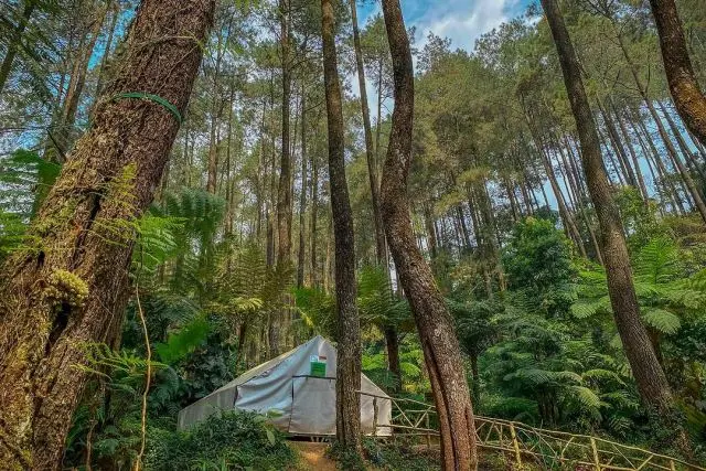 Alamat Camping Ground Pintu Rimba