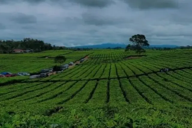 Alamat Desa Sait Buttu Saribu