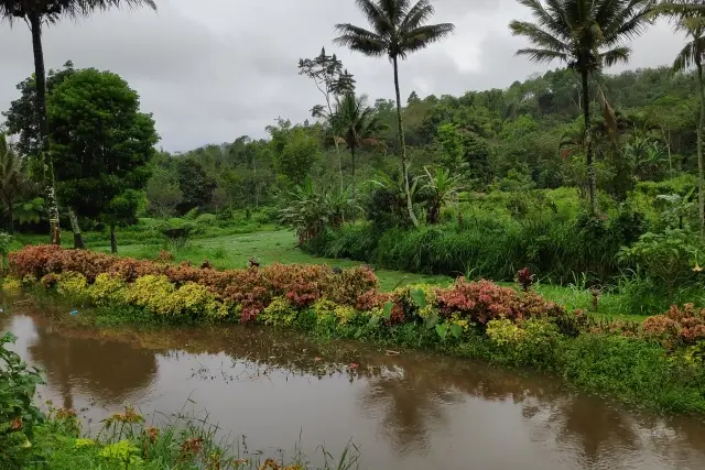 Alamat Green Paradise Pagar Alam
