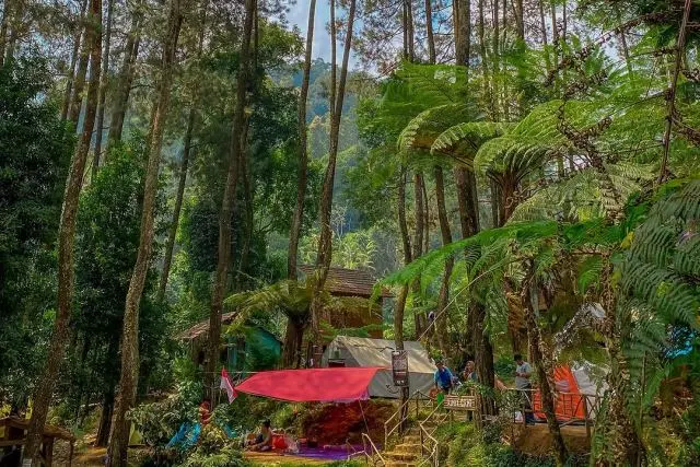 Daya Tarik Camping Ground Pintu Rimba