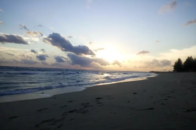 Daya Tarik Pulau Kapuk