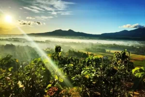 Daya Tarik Taman Puncak Pengayoman