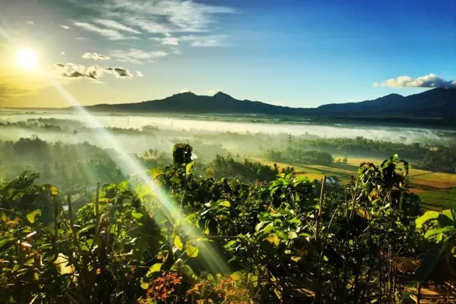 Daya Tarik Taman Puncak Pengayoman