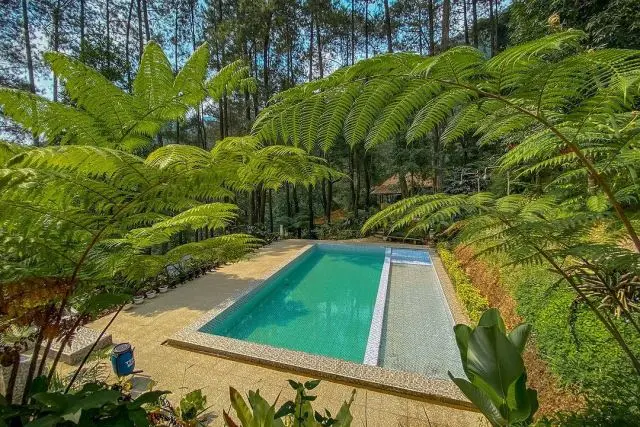 Fasilitas Camping Ground Pintu Rimba