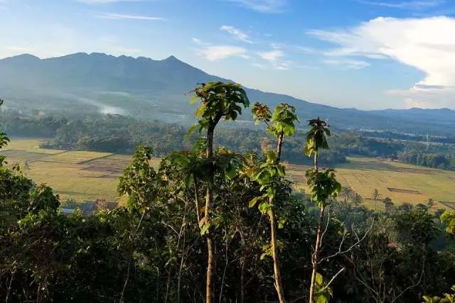 Fasilitas Taman Puncak Pengayoman