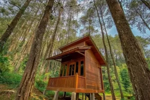 Kegiatan Camping Ground Pintu Rimba