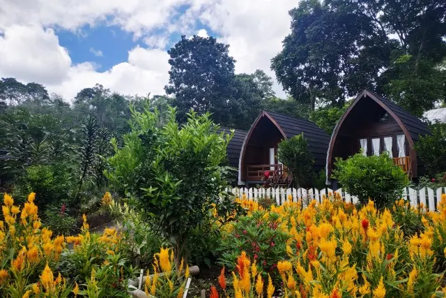 Kegiatan Green Paradise Pagar Alam