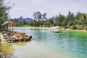 Kegiatan Pulau Kapuk