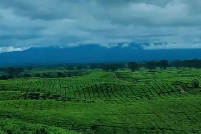 Kegiatan Sait Buttu Saribu