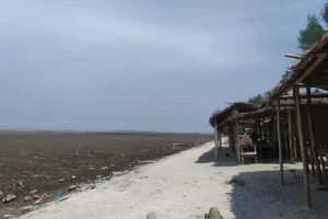 Alamat Pantai Sujono