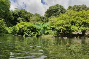 Daya Tarik Mata Air Sumber Agung