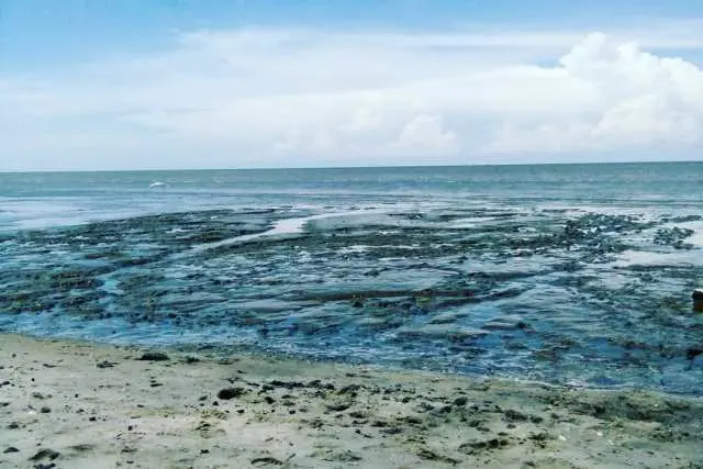 Daya Tarik Pantai Sujono