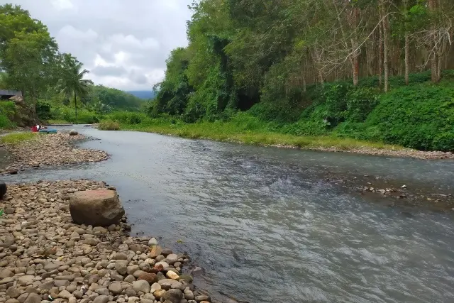 Fasilitas Bronjong Way Lima