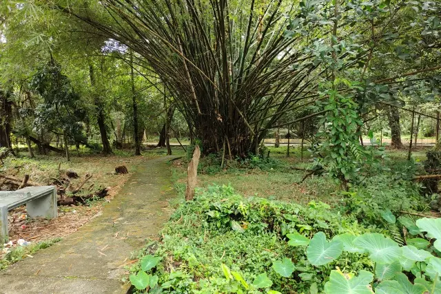 Hutan Kota Pekanbaru