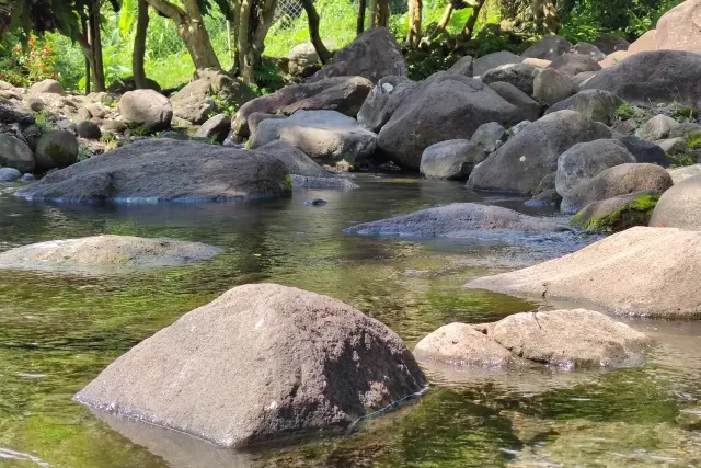 Kegiatan Mata Air Sumber Agung