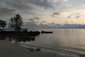 Kegiatan Pulau Maspari