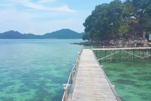 Pulau Petong